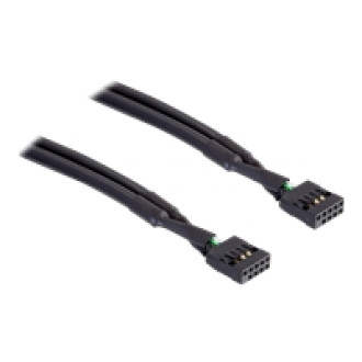 DELOCK Kabel USB Pinheader Bu-Bu 10pin 50cm