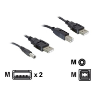 DELOCK Kabel USB Power-Kabelset > DC+USB-B 30cm