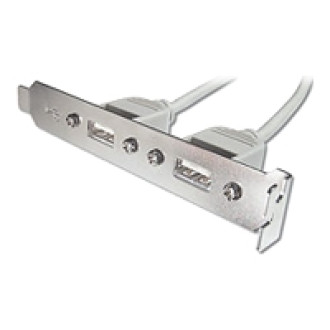 ASSMANN USB Slotblechkabel 2x Typ A - 2x5pin IDC Bu/Bu 0,25m USB 2.0 kompatibel be