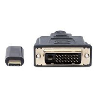 MANHATTAN USB Typ C auf DVI-Adapterkabel 2m Konvertiert das Alternate-Mode-Signal in ein DisplayPort 4K-Ausgangssignal schwarz