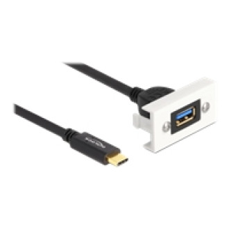 DELOCK Easy 45modul SuperSpeed USB 10 Gbps USB 3.2 Gen 2 USB Typ-A Buchse zu USB Type-C Stecker mit Kabelpeitsche 22,5 x 45mm