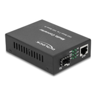 DELOCK Medienkonverter 10GBase-R SFP+ zu 10GBase-T RJ45