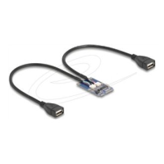 DELOCK Mini PCIe Adapter full size zu 2xUSB 2.0 Typ-A Buchse 30 cm