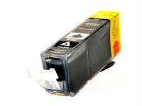 Cartucho de tinta (alternatif) compatible à Canon 2933B001 Photo Noir